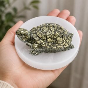 Pyrite Tortoise